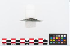 Foto von Bronzeriemenverteilerscheibe (NHMW-PRAE-026021)